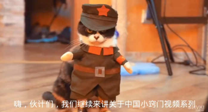出海丨社交化品牌，需要一個(gè)指揮中心